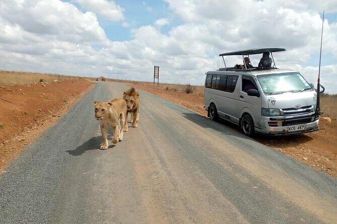 Safari Tour : Nairobi National Park - An In-Depth Look at the Safari Experience
