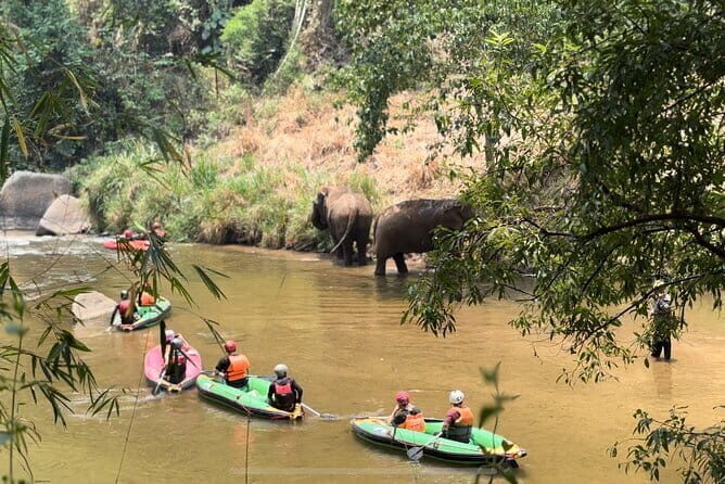Safety whitewater rafting, Kayak, Quad bike , Trekking in Chiangmai - Authenticity and Value