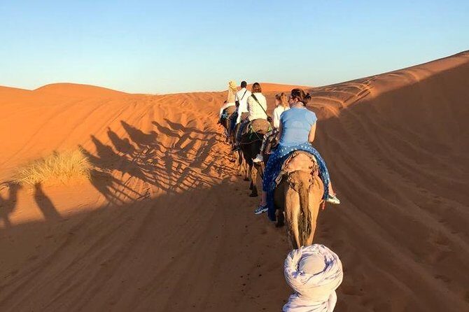 Sahara Desert 3 days trip from Marrakech to Fez - What Makes This Tour Stand Out?