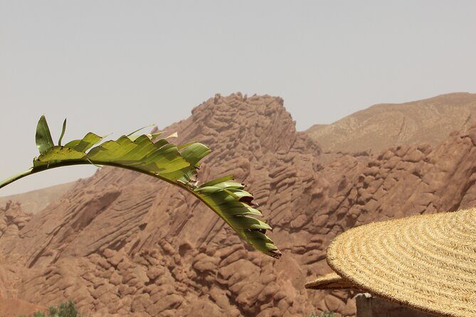 Sahara Desert Family Tour - Day 1: From Marrakech to Ait Ben Haddou via the Atlas Mountains