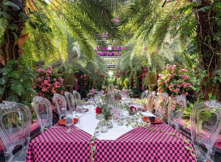Saigon: Luxury and Snapshots Walking Tour in Thao Dien - The Practicalities
