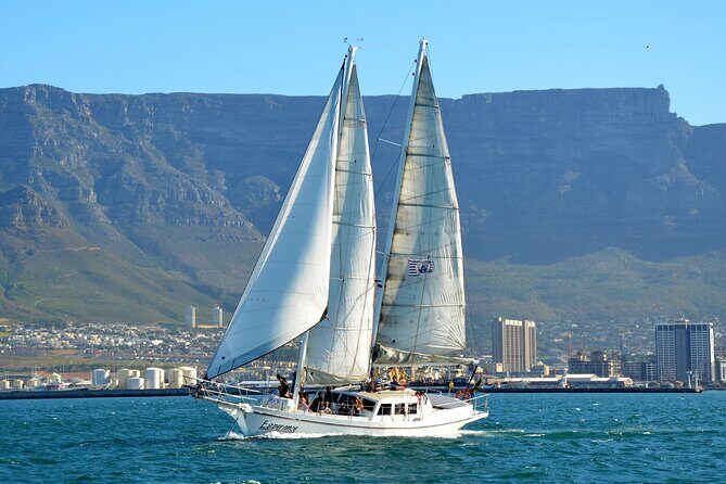 Sailing in Table Bay Cape Town aboard a Classic Schooner - Who Is This Tour Best For?