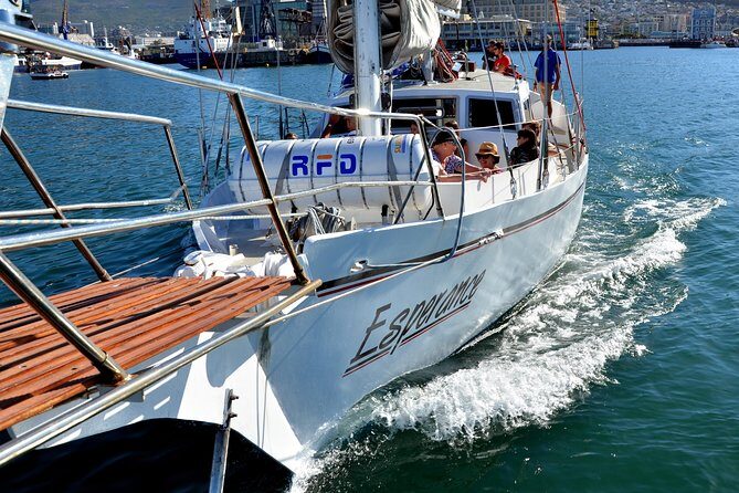 Sailing in The Bay by Catamaran (One Hour) - Detailed Breakdown of the Itinerary