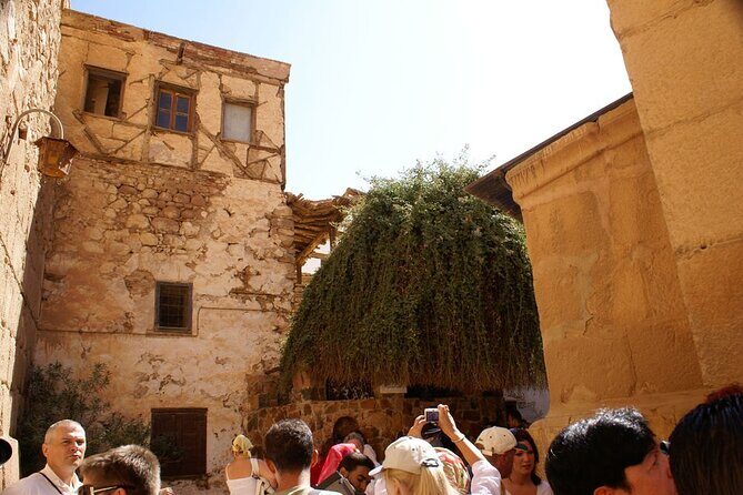 Saint Catherine Monastery & Mousses Mountain - Sharm El Sheikh - Who Will Love This Tour?