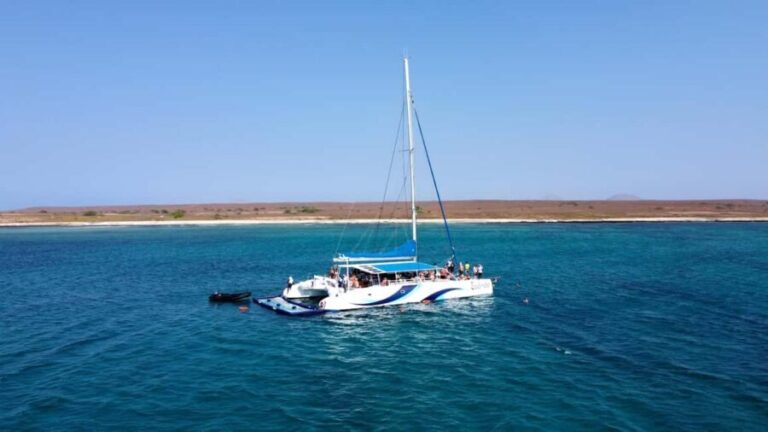 Sal: All-Inclusive Half-Day Lounge Catamaran Cruise - Practical Tips for Your Trip