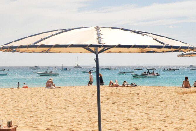 Sal Island: Guided Full-Day Highlights Tour with Lunch - What Makes This Tour Stand Out