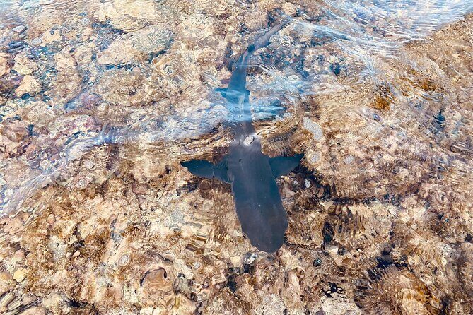 Sal island: Salt Lake Tour, Shark bay & Pedra de Lume Village - Practical Details and What to Expect