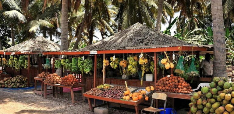 Salalah City Tours - Exploring the Day’s Itinerary