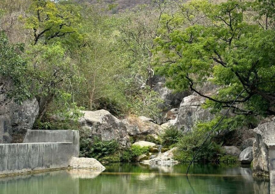 Salalah: East Salalah Tour with Wadi and Sumhuram Museum - Who is this tour best suited for?