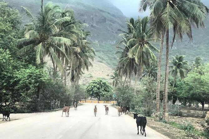 Salalah Mountain Safari Tour 2(Full Day Tour) - The Experience and Its Value