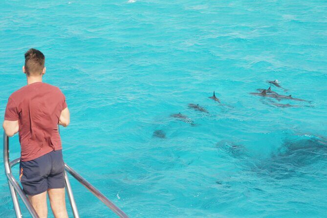 Samadai Dolphin House Snorkel Trip - Marsa Alam - Detailed Breakdown of the Experience
