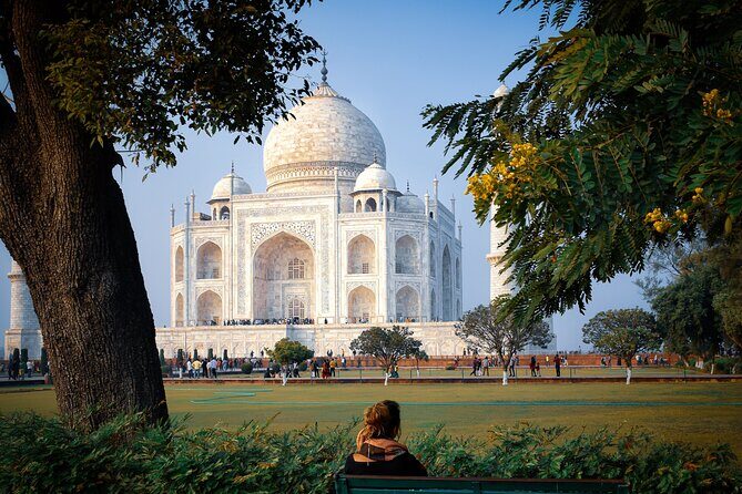 Same Day Private Tour of Agra - What Travelers Say