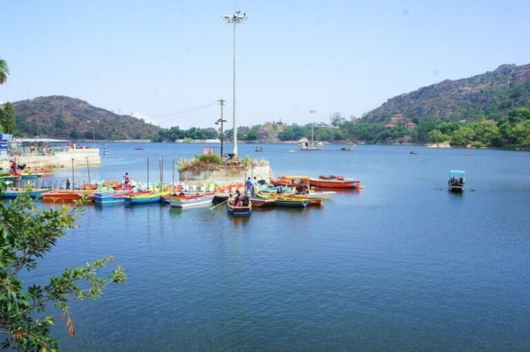 Same Day Tour Of Mount Abu From Udaipur - What’s Included and What’s Not