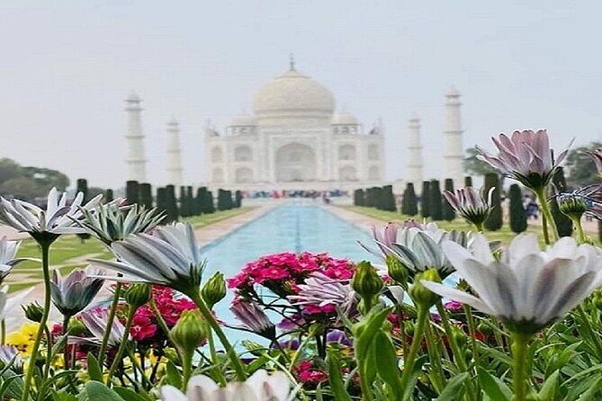 Sameday Taj Mahal Tour From Delhi With Lunch at 5 Star Hotel - What Travelers Love About This Tour