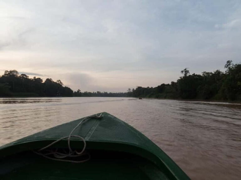 Sandakan: Sukau Rainforest Wildlife Journey & Dawn Cruises - Final Thoughts: Who Should Consider This Tour?