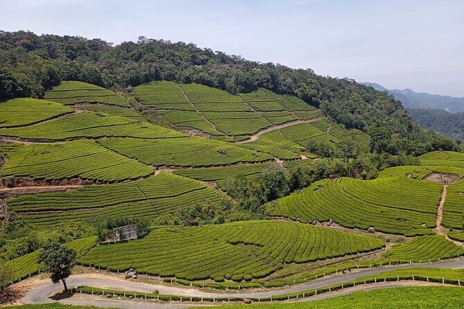 Sandal Wood & Sight Seeing Tour (Munnar Valley Trekking & Tours) - Who Will Love This Tour?