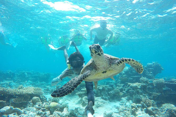 Sandbank Snorkeling and Sunset Cruise - FAQ
