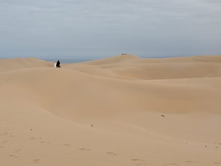 Sandboard, quad bike, camel ride & BBQ dinner in Timlaline - What’s Included and What to Know