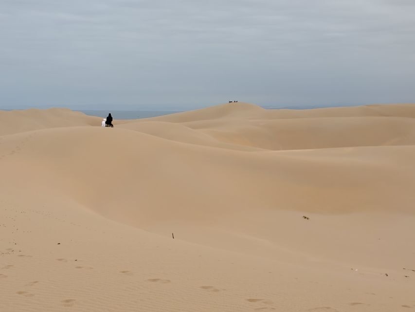 Sandboard, quad bike, camel ride & BBQ dinner in Timlaline - What’s Included and What to Know
