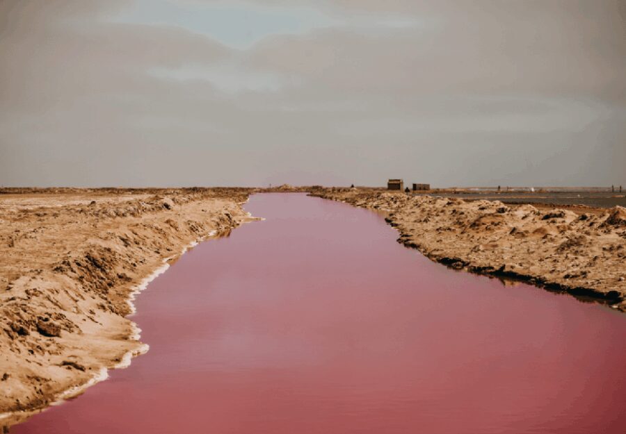 Sandwich Harbour 4x4 Guided Tour - Who Will Love This Tour?