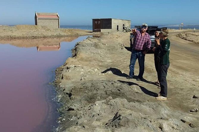 Sandwich Harbour Adventure: Seals and Sandwich harbour dune drive - The Value of the Experience