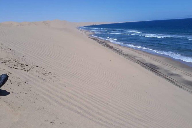 Sandwich harbour and Welwitschia Tour - Practical Details and What You Can Expect