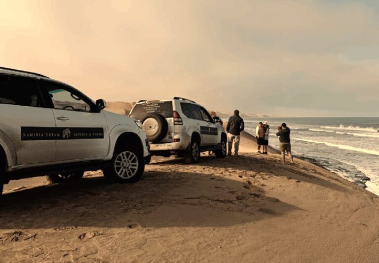 Sandwich Harbour Full Day 4x4 Adventure - Practicalities and Value