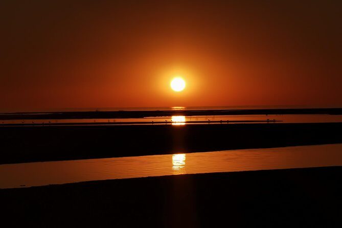 Sandwich Harbour Half Day Excursion - Detailed Itinerary Breakdown