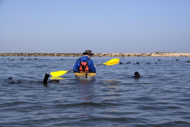Sandwich Harbour & Pelican Point Full Day Tour - What Travelers Say