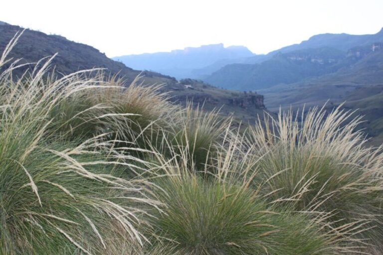 Sani Pass: Day Tour from Durban - Crossing the Border into Lesotho