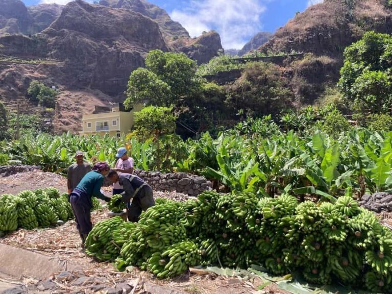 Santo Antão Highlights: Day Trip by Car with Ferry from SV - What We Think Works Well