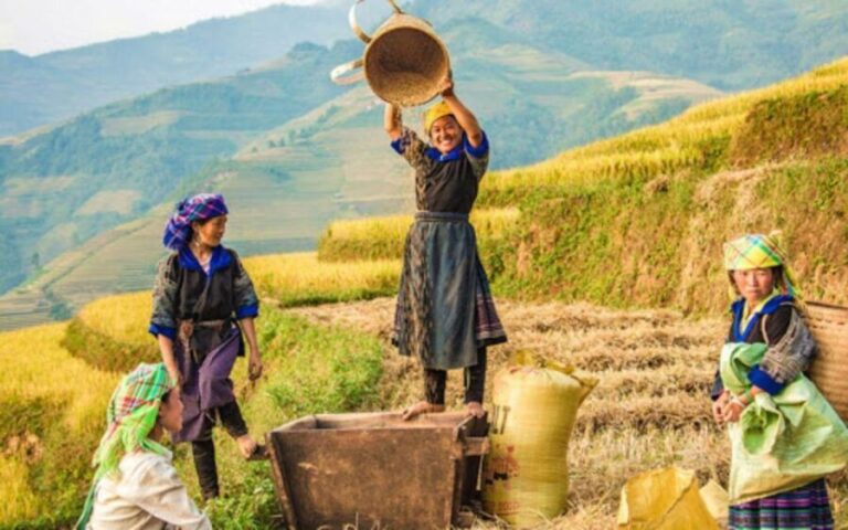 Sapa 1-Day trekking to Lao Chai-Ta van village - What’s Included and What’s Not