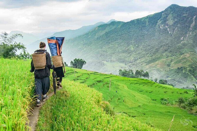 Sapa 2 Day Trekking with 1 Night Homestay - The Sum Up