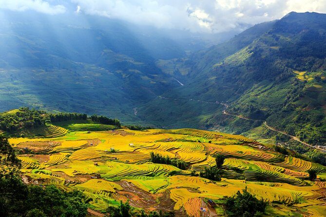 Sapa 2D1N All Included (Bus & Homestay) - The Experience’s Value: Is It Worth It?