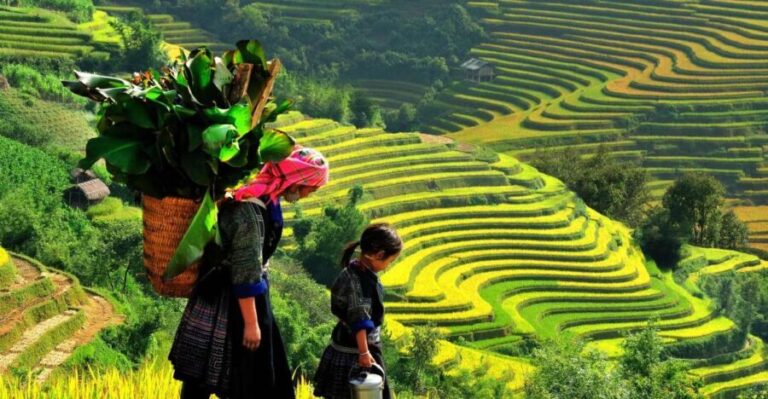 Sapa: 3-Day, 3-Night Trek and Hotel with Overnight Train - Who Will Love This Tour?