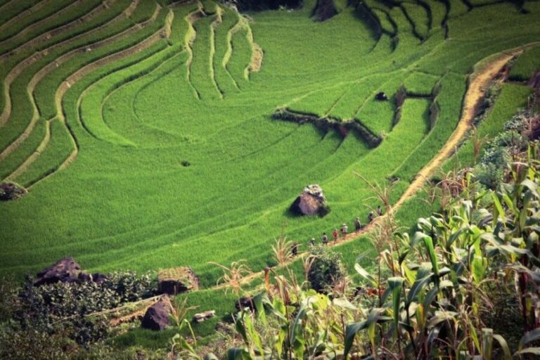 Sapa 3-Day Trekker - What Travelers Say