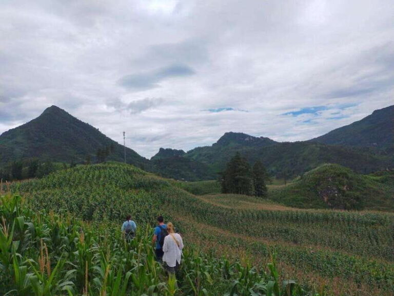 Sapa: Amazing Suoi Ho, Ma Tra Villages Private Day Trip - What’s Included and What’s Not