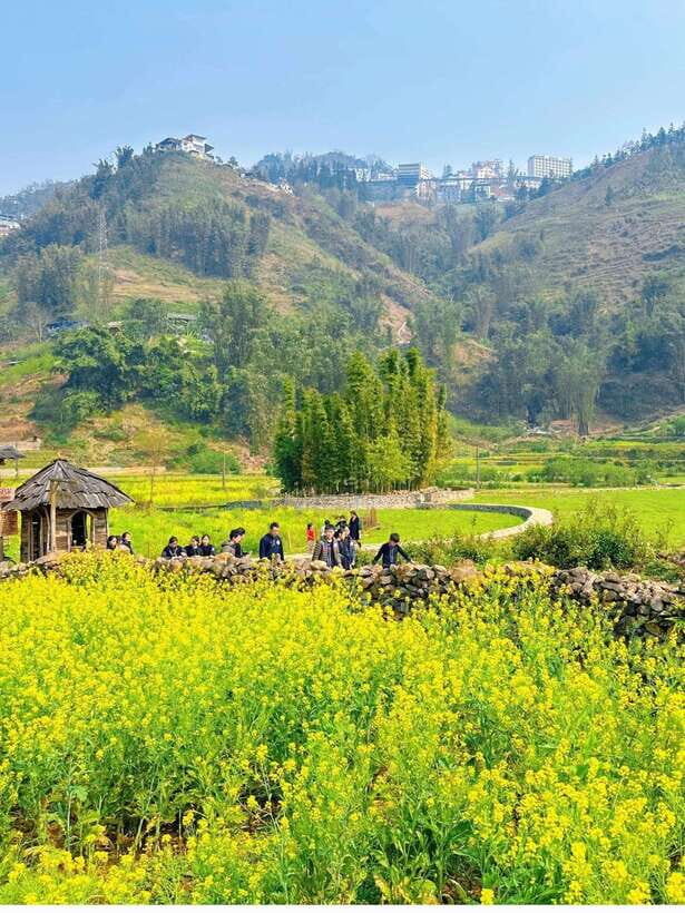 Sapa Cat Cat Village And Y Linh Ho Private Trekking Tour - Authentic Cultural Encounters and Scenic Beauty