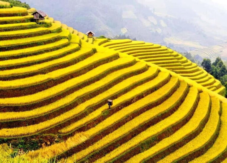 Sapa: Cat Cat Village, Moana, Alpine Coaster, Fansipan Cable - The Sum Up
