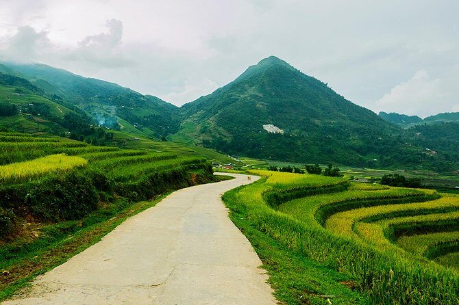 Sapa Easy Trekking Tour 1 Day - Rice Paddies and Cultures - Authenticity and Real Experiences