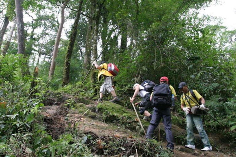 Sapa: Fansipan Peak Full-Day Trek with Lunch - The Practicalities: What to Know Before You Go