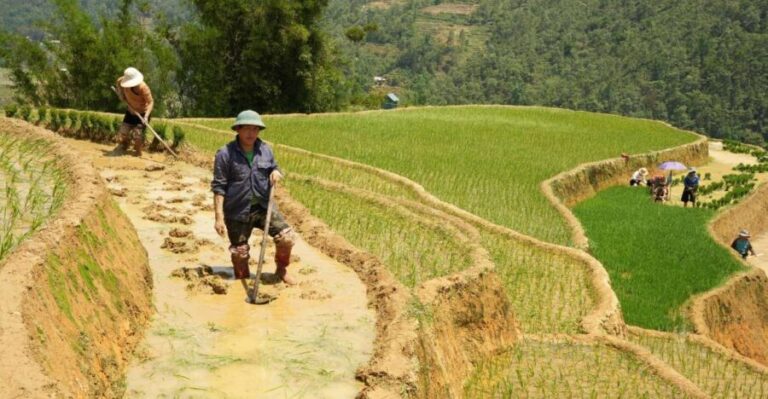 Sapa hard trekking villages and homestay 2 days 1 night trip - Why This Tour Offers Great Value