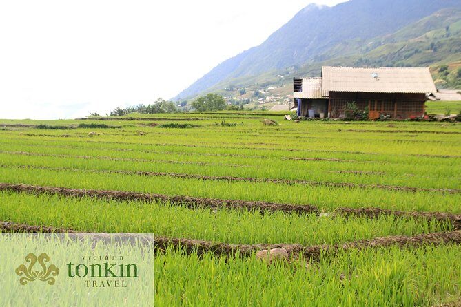 Sapa hard trekking villages homestay 3days/ 2nights tour - amazing culture - Practical Aspects and Considerations