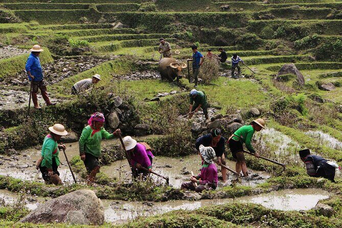 Sapa Hmong Family Trekking Adventures - Why Travelers Love This Tour