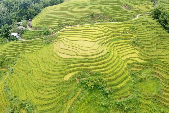 Sapa Journey 3D2N: 3 Star Hotel Stay & Village Homestay - Why This Tour Offers Real Value