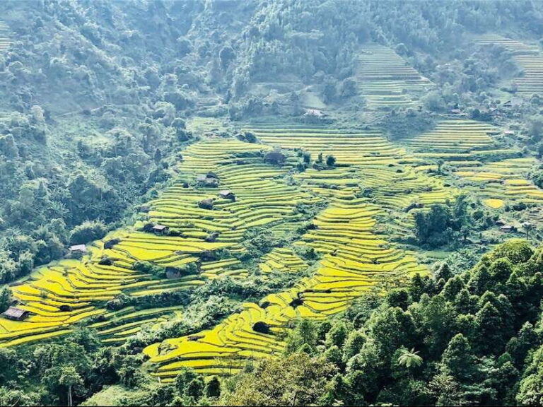 Sapa: Private Highlights Day Tour with Lunch - Diving Into the Details: Why This Tour Works