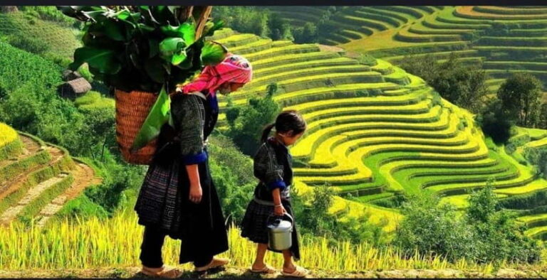 Sapa: Ta Phin Village Trek & Red Dao Herbal Bath - Authenticity and Reviews from Travelers