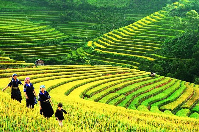 Sapa Tours 2D1N stay At 4 stars hotel nice Sleeping Bus TRANSFER - What’s Included and What’s Not