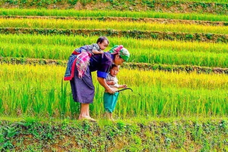 Sapa Trekking 3 Days 2 Night - VIP Sleeper Bus from Hanoi - Transportation & Comfort