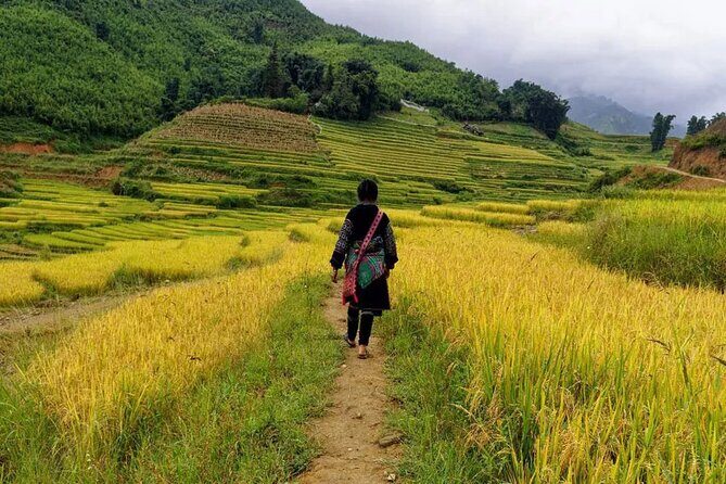 Sapa Trekking Adventures - FAQ